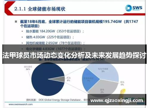 法甲球员市场动态变化分析及未来发展趋势探讨