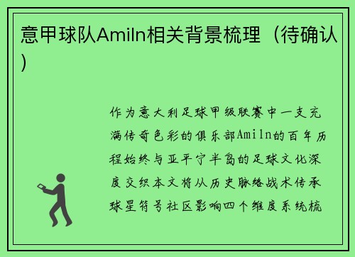 意甲球队Amiln相关背景梳理（待确认）